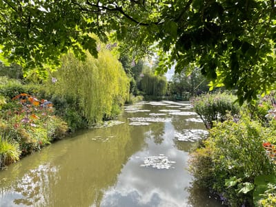 The slumbering trees